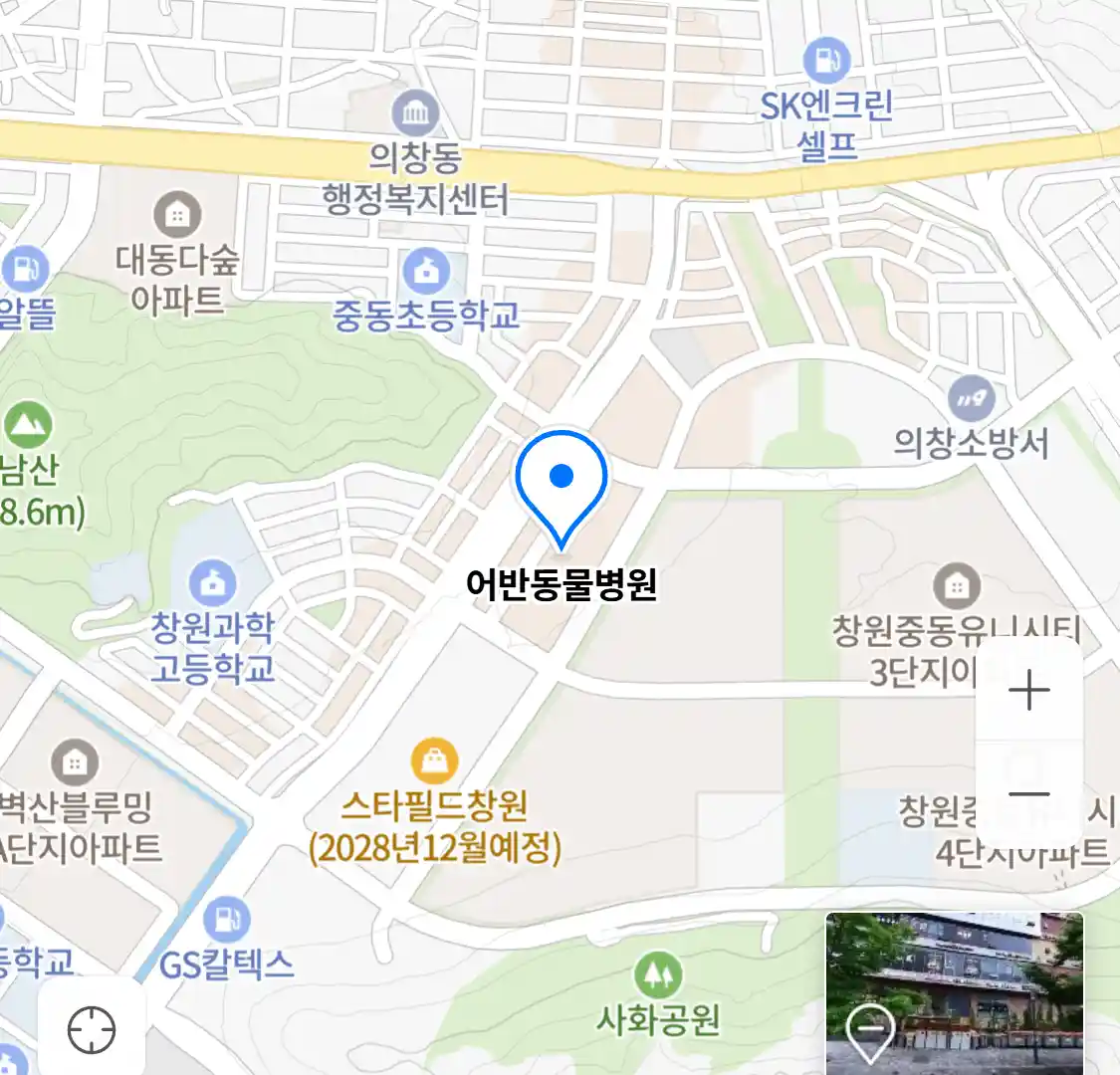어반동물병원
