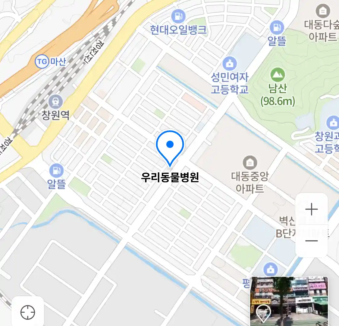 우리동물병원