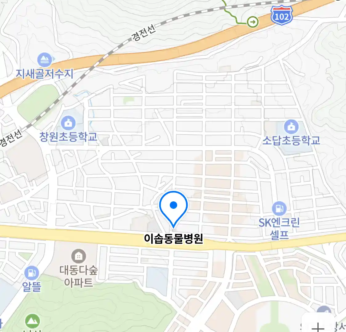 이솝동물병원