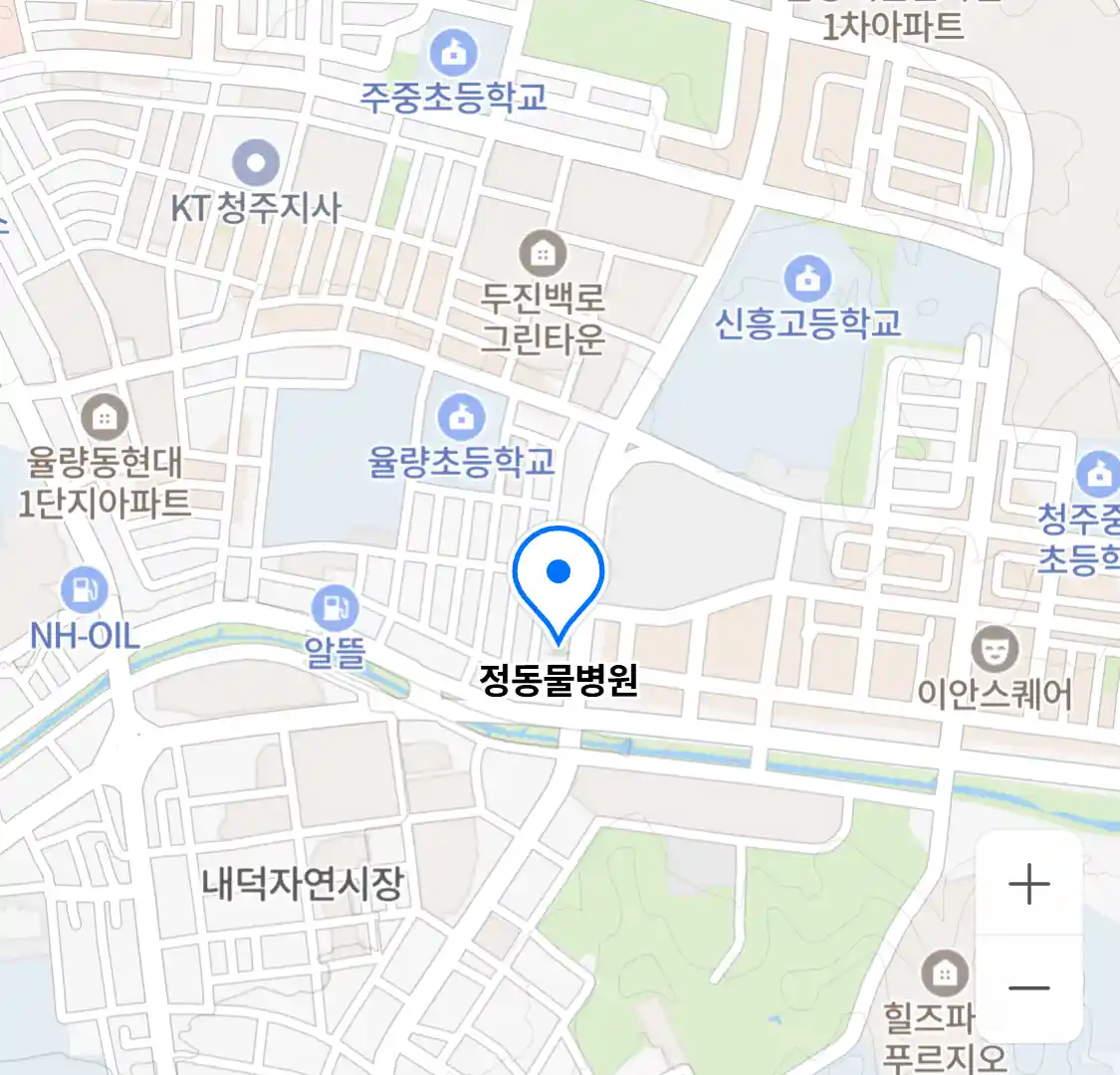 정동물병원