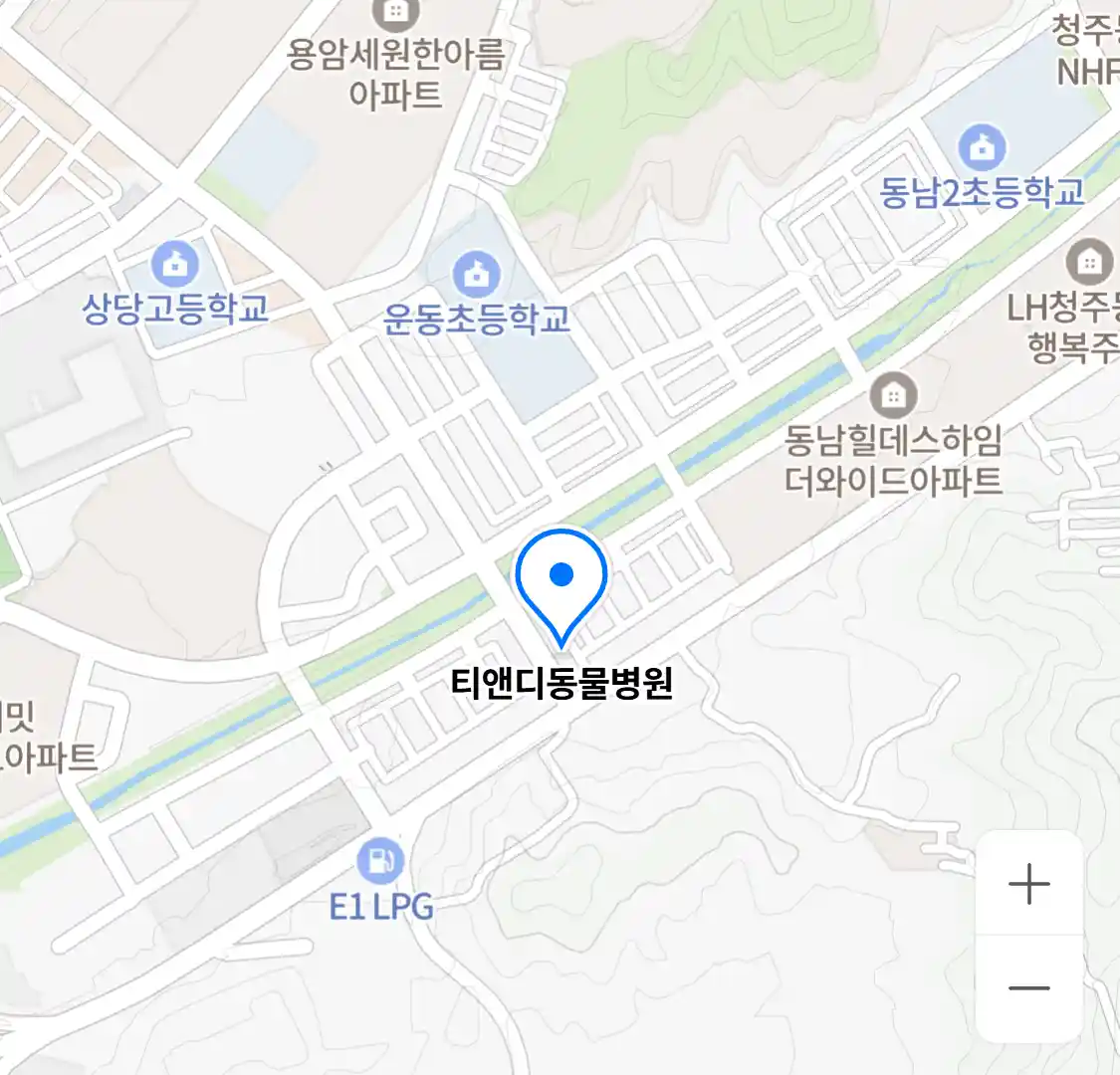 티앤디동물병원