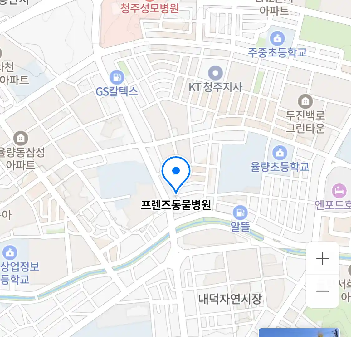 프렌즈동물병원