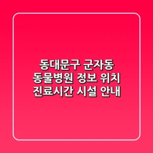 동대문구 군자동 동물병원 정보 - 위치, 진료시간, 시설 안내