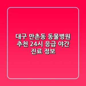 대구 만촌동 동물병원 추천 - 24시 응급, 야간 진료 정보