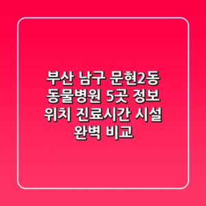 부산 남구 문현2동 동물병원 5곳 정보 - 위치, 진료시간, 시설 완벽 비교