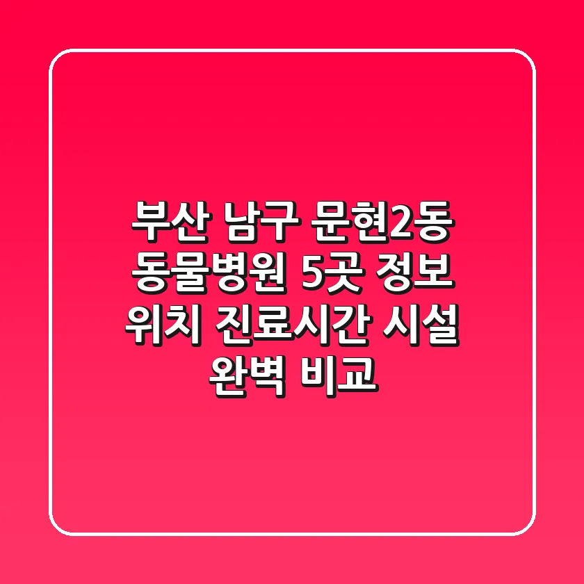 부산 남구 문현2동 동물병원 5곳 정보 - 위치, 진료시간, 시설 완벽 비교