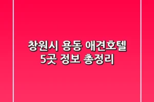 창원시 용동 애견호텔 5곳 정보 총정리