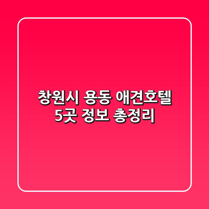 창원시 용동 애견호텔 5곳 정보 총정리