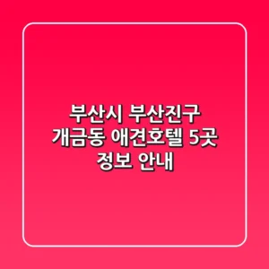 부산시 부산진구 개금동 애견호텔 5곳 정보 안내