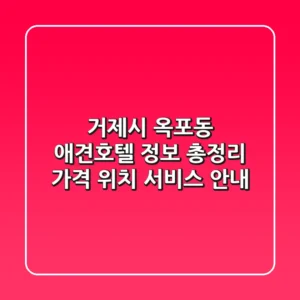 거제시 옥포동 애견호텔 정보 총정리 - 가격, 위치, 서비스 안내
