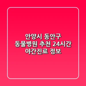 안양시 동안구 동물병원 추천 | 24시간, 야간진료 정보