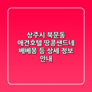 상주시 북문동 애견호텔: 땅콩샌드네, 베베몽 등 상세 정보 안내