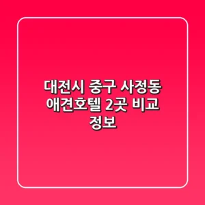 대전시 중구 사정동 애견호텔 2곳 비교 정보