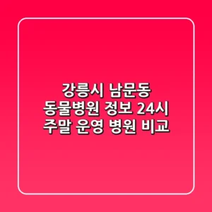 강릉시 남문동 동물병원 정보: 24시, 주말 운영 병원 비교