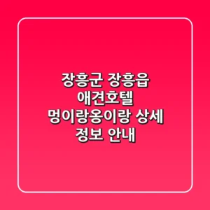 장흥군 장흥읍 애견호텔 멍이랑옹이랑: 상세 정보 안내