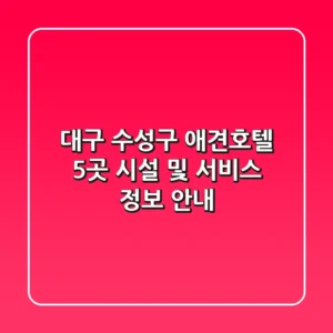 대구 수성구 애견호텔 5곳: 시설 및 서비스 정보 안내