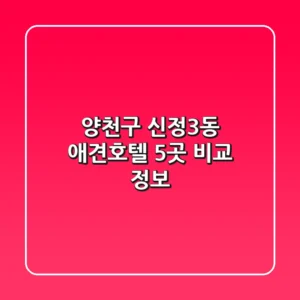 양천구 신정3동 애견호텔 5곳 비교 정보