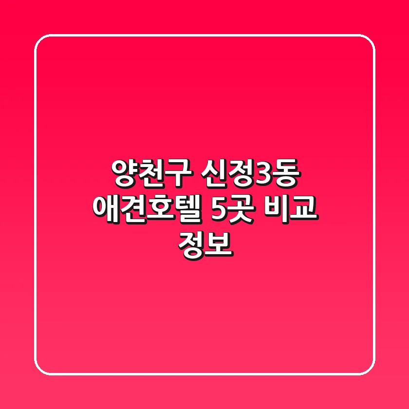 양천구 신정3동 애견호텔 5곳 비교 정보