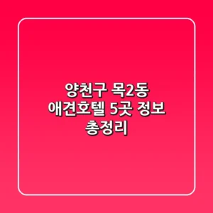 양천구 목2동 애견호텔 5곳 정보 총정리