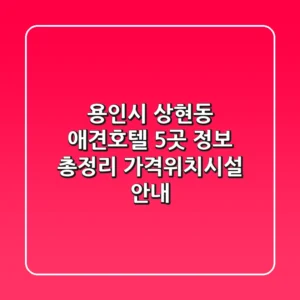 용인시 상현동 애견호텔 5곳 정보 총정리 - 가격/위치/시설 안내