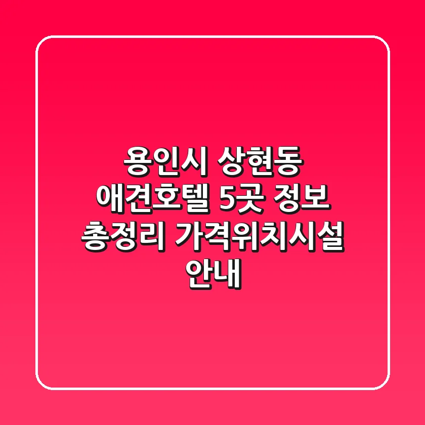 용인시 상현동 애견호텔 5곳 정보 총정리 - 가격/위치/시설 안내