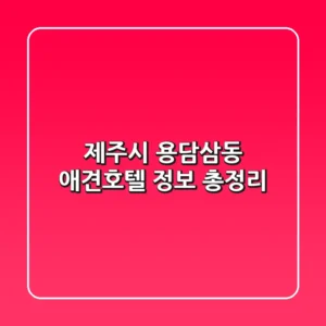 제주시 용담삼동 애견호텔 정보 총정리
