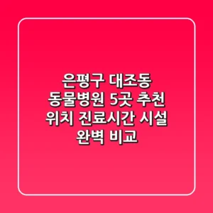 은평구 대조동 동물병원 5곳 추천 - 위치, 진료시간, 시설 완벽 비교