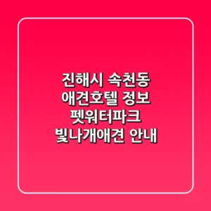 진해시 속천동 애견호텔 정보 - 펫워터파크, 빛나개애견 안내