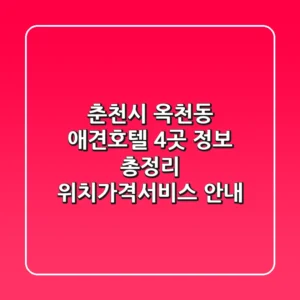 춘천시 옥천동 애견호텔 4곳 정보 총정리 - 위치/가격/서비스 안내