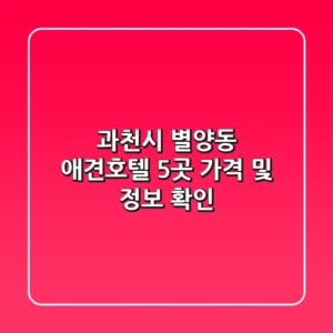 과천시 별양동 애견호텔 5곳 가격 및 정보 확인