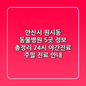 안산시 원시동 동물병원 5곳 정보 총정리 - 24시, 야간진료, 주말 진료 안내
