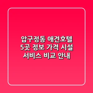 압구정동 애견호텔 5곳 정보 - 가격, 시설, 서비스 비교 안내