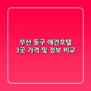 부산 동구 애견호텔 3곳 가격 및 정보 비교