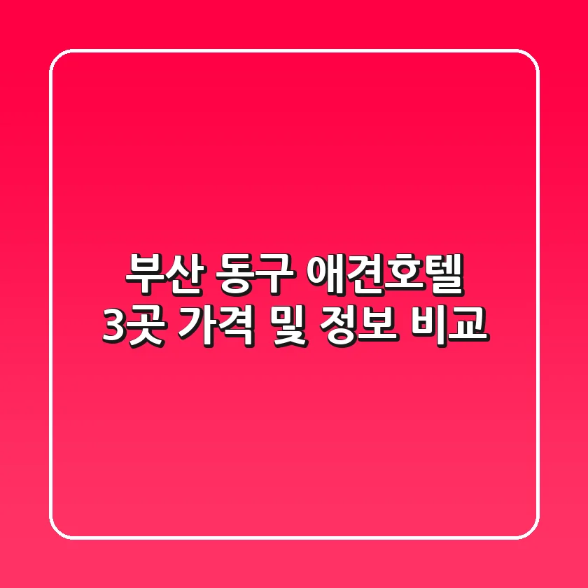 부산 동구 애견호텔 3곳 가격 및 정보 비교