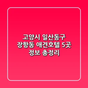 고양시 일산동구 장항동 애견호텔 5곳 정보 총정리