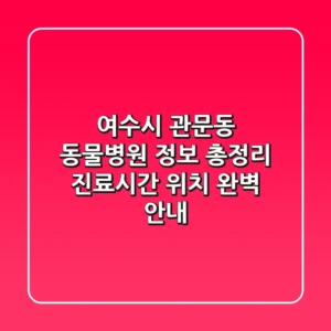 여수시 관문동 동물병원 정보 총정리 - 진료시간, 위치 완벽 안내