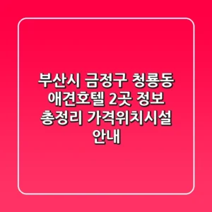 부산시 금정구 청룡동 애견호텔 2곳 정보 총정리 - 가격/위치/시설 안내