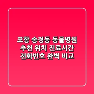 포항 송정동 동물병원 추천 - 위치, 진료시간, 전화번호 완벽 비교
