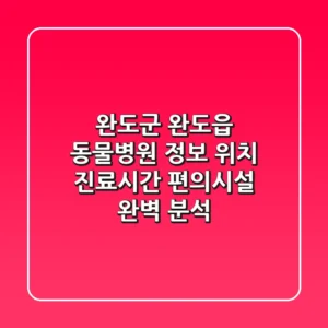 완도군 완도읍 동물병원 정보: 위치, 진료시간, 편의시설 완벽 분석