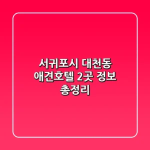 서귀포시 대천동 애견호텔 2곳 정보 총정리