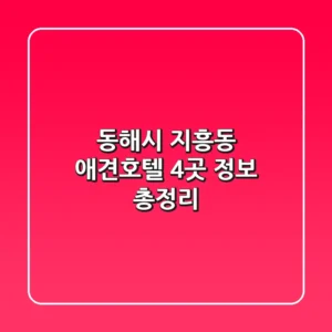 동해시 지흥동 애견호텔 4곳 정보 총정리