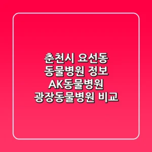 춘천시 요선동 동물병원 정보 - AK동물병원, 광장동물병원 비교