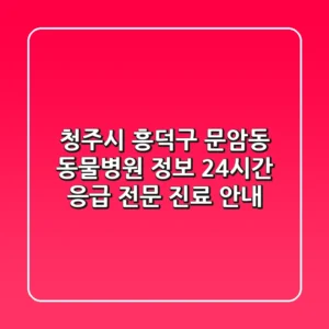 청주시 흥덕구 문암동 동물병원 정보 - 24시간 응급, 전문 진료 안내