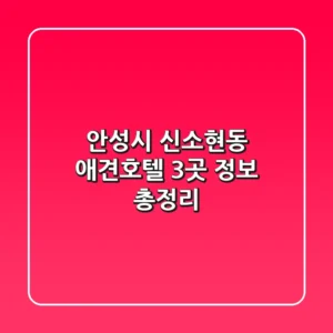 안성시 신소현동 애견호텔 3곳 정보 총정리