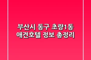부산시 동구 초량1동 애견호텔 정보 총정리