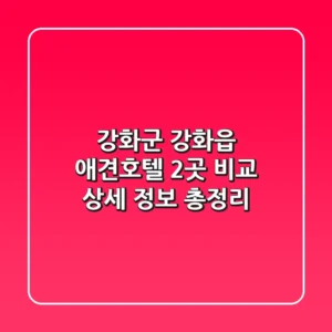 강화군 강화읍 애견호텔 2곳 비교: 상세 정보 총정리