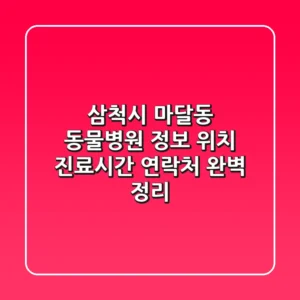 삼척시 마달동 동물병원 정보: 위치, 진료시간, 연락처 완벽 정리