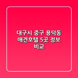 대구시 중구 용덕동 애견호텔 5곳 정보 비교