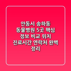 안동시 송하동 동물병원 5곳 핵심 정보 비교 - 위치, 진료시간, 연락처 완벽 정리