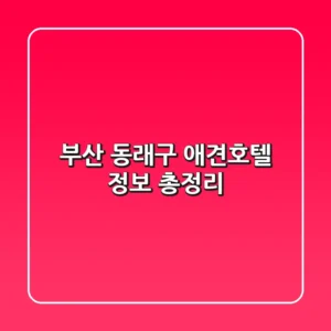 부산 동래구 애견호텔 정보 총정리